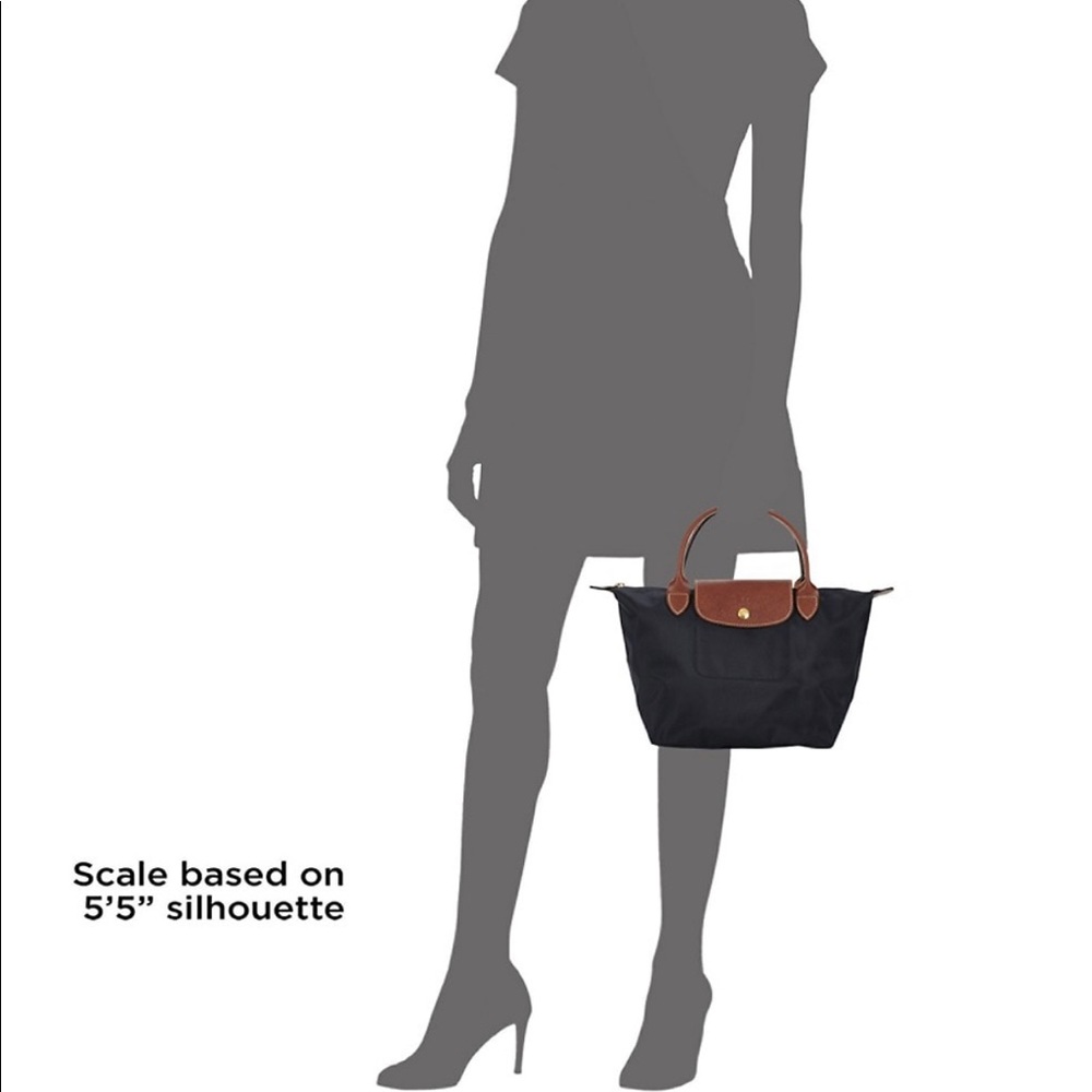 Longchamp Paris purse